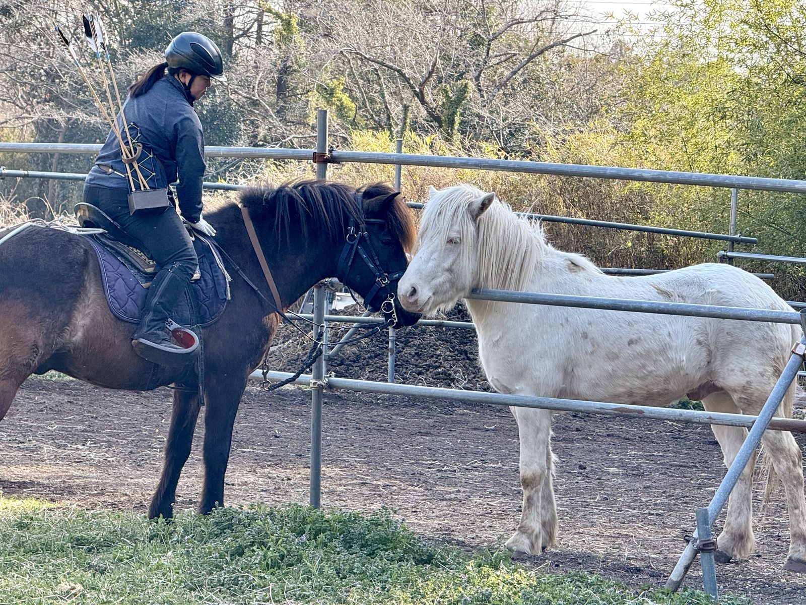 矢を背負い騎乗して稽古する倭式騎馬會の射手