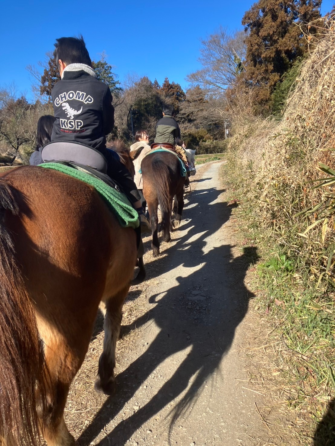 保育園の卒園遠足の乗馬会で里山を行く和駒